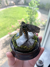Load image into Gallery viewer, Blue Calcite Moth Momma
