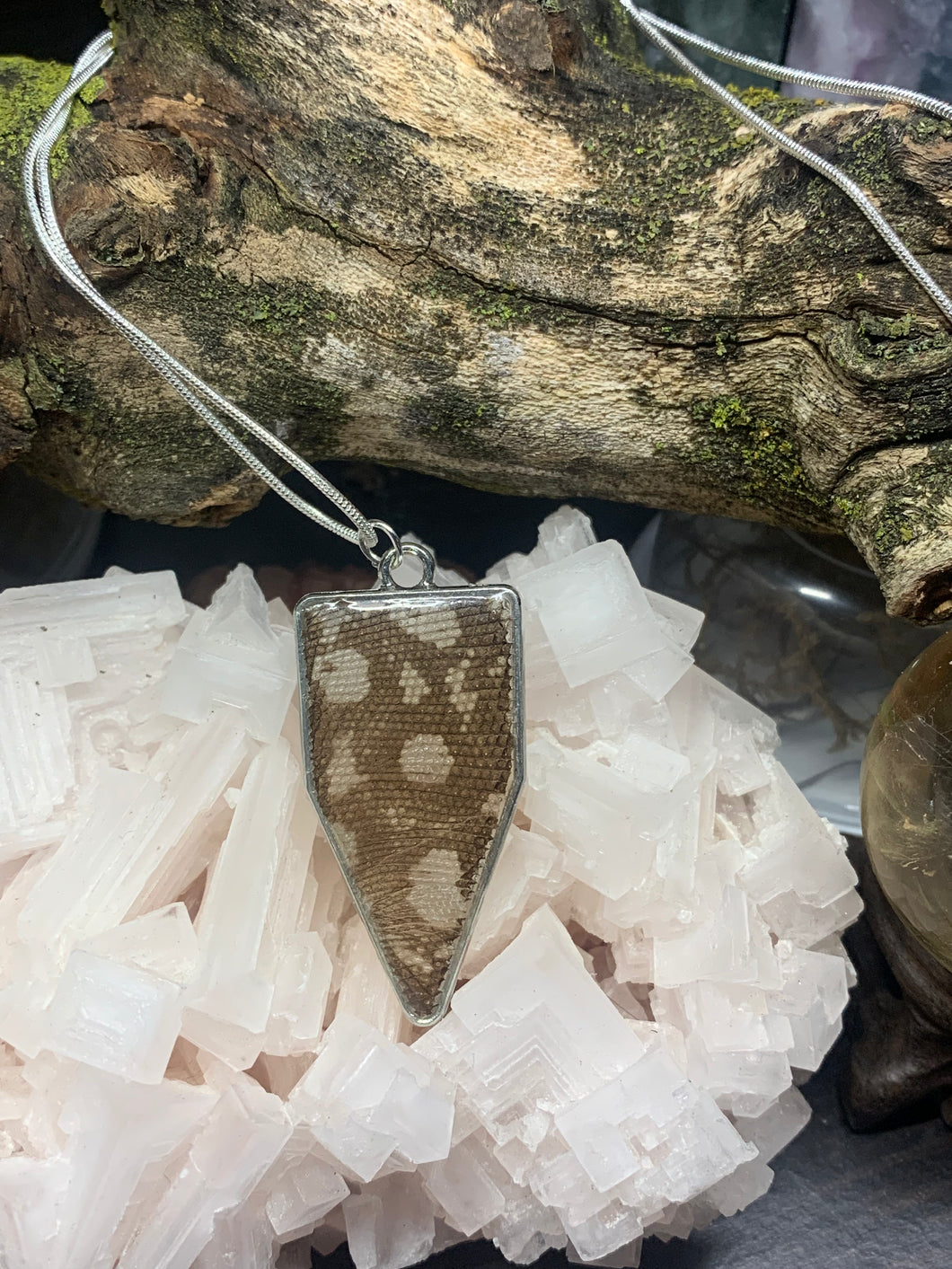 Silver Pentagon Reptile Shed Necklace 3